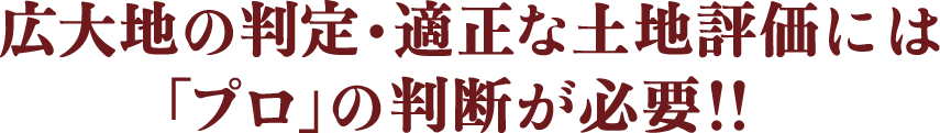 広大地の判定・適正な土地評価には「プロ」の判断が必要!!