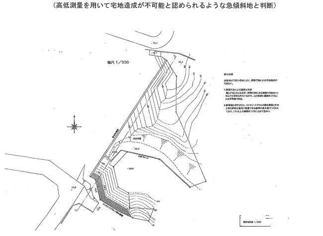 『純山林判定意見書』を用いた判断