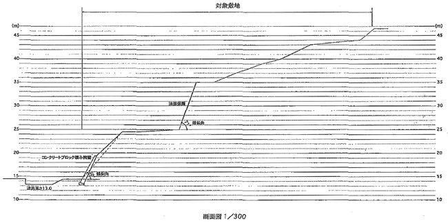 『純山林判定意見書』を用いた判断
