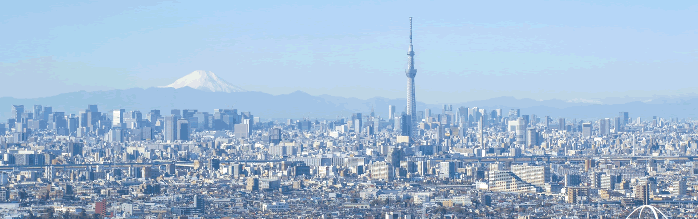 株式会社東京アプレイザル